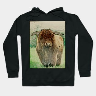 West Highland Bull 1 Hoodie